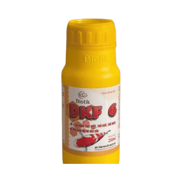 DKF 6