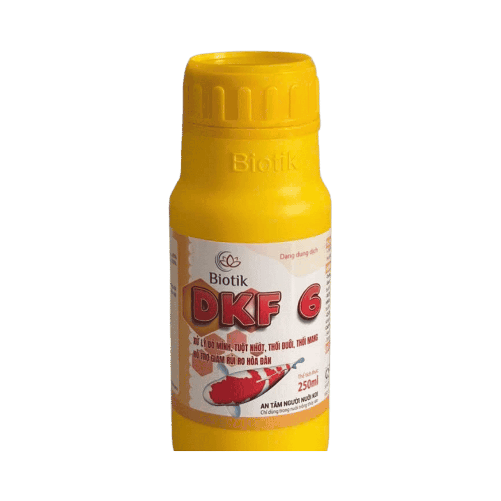 DKF 6