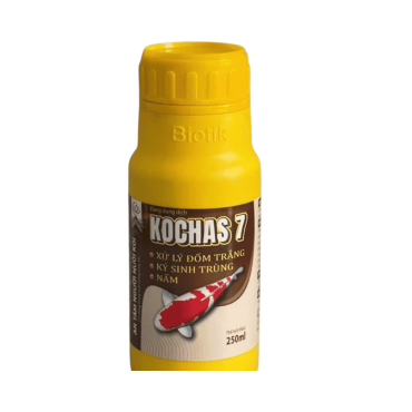 KOPCHAS 7