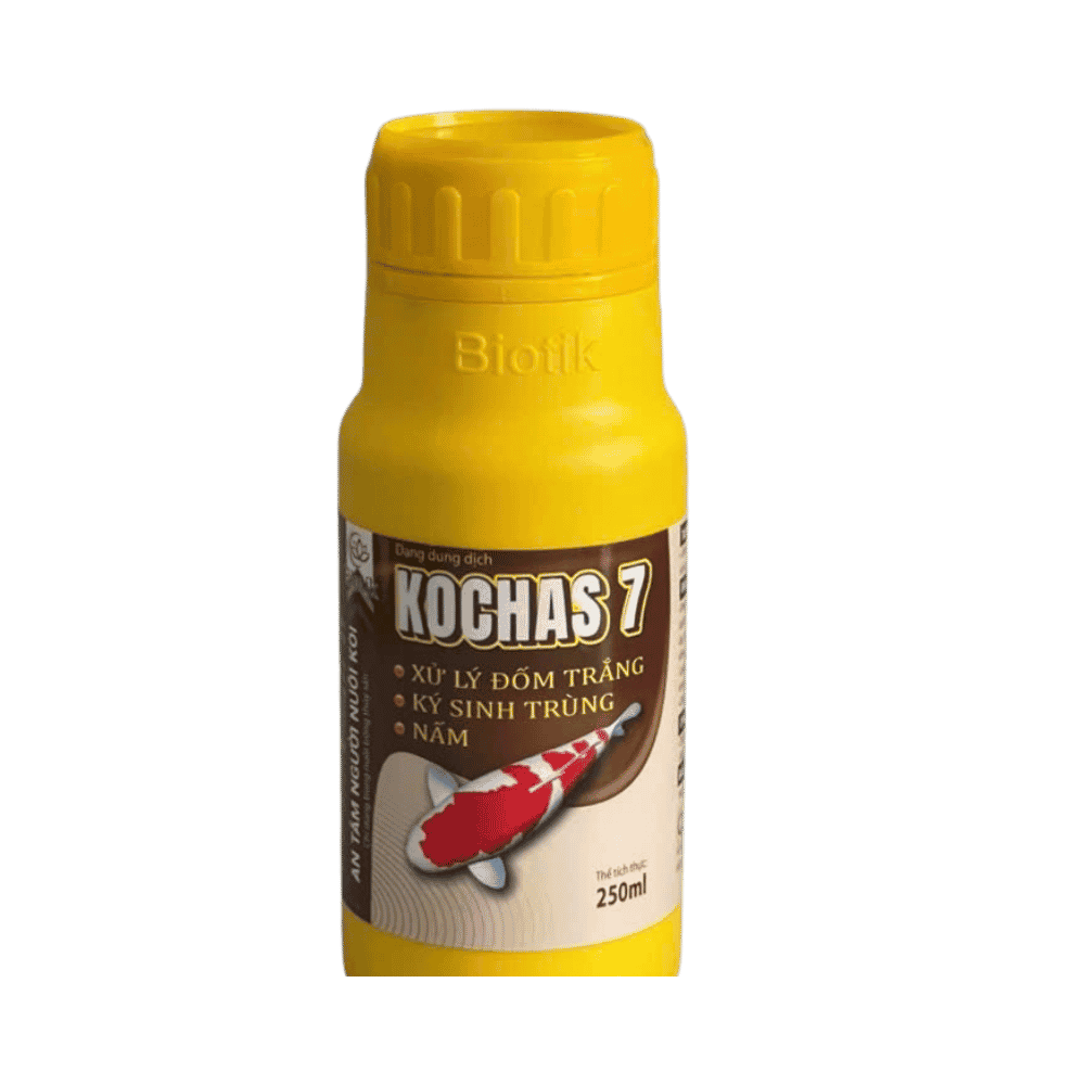 KOPCHAS 7